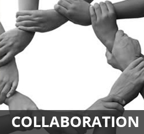 Module Collaboration